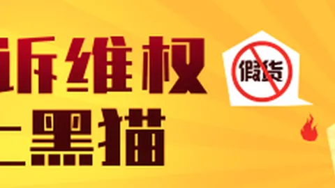 战队新成员加盟，新赛季蓄势待发